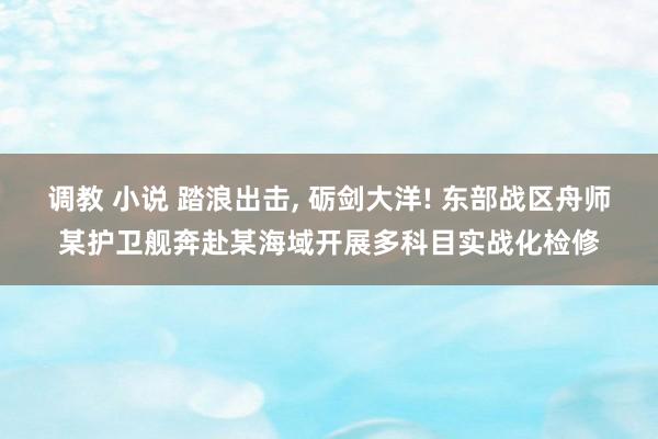 调教 小说 踏浪出击， 砺剑大洋! 东部战区舟师某护卫舰奔赴某海域开展多科目实战化检修