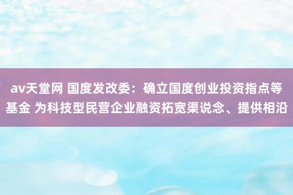 av天堂网 国度发改委：确立国度创业投资指点等基金 为科技型民营企业融资拓宽渠说念、提供相沿
