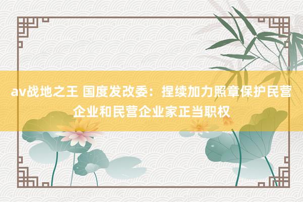 av战地之王 国度发改委：捏续加力照章保护民营企业和民营企业家正当职权