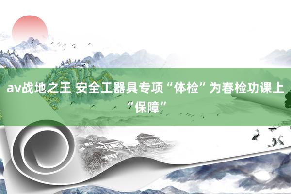 av战地之王 安全工器具专项“体检”为春检功课上“保障”