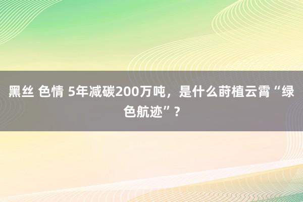 黑丝 色情 5年减碳200万吨，是什么莳植云霄“绿色航迹”？