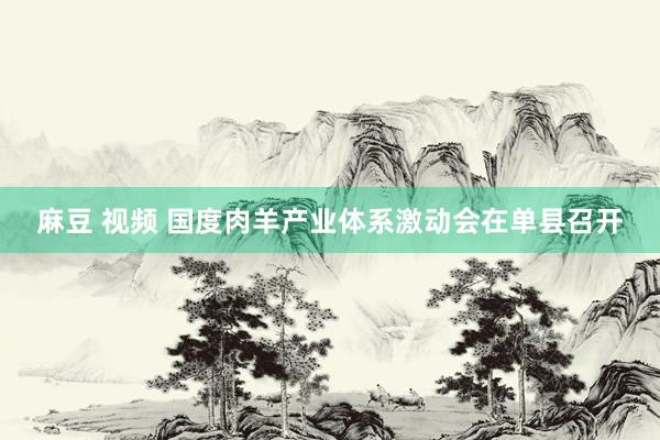 麻豆 视频 国度肉羊产业体系激动会在单县召开