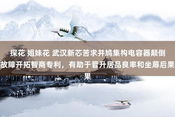 探花 姐妹花 武汉新芯苦求并鸠集构电容器颠倒故障开拓智商专利，有助于晋升居品良率和坐蓐后果