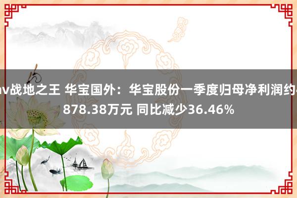 av战地之王 华宝国外：华宝股份一季度归母净利润约4878.38万元 同比减少36.46%