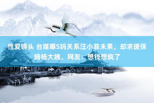 性爱镜头 台媒曝S妈关系汪小菲未果，却求援保姆杨大姨，网友：想钱想疯了